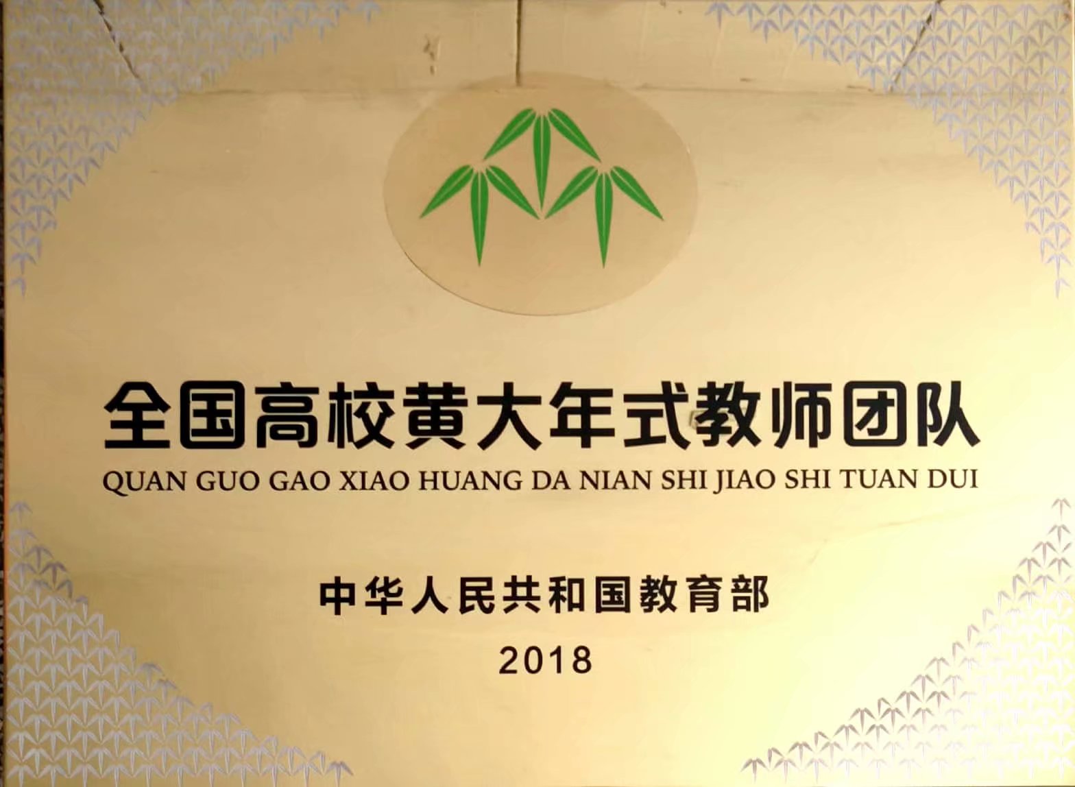 2018年：全国首届黄大年式教师团队